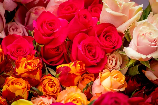 Крупный план букета разнообразных роз, студийный снимок, красочные цветы — стоковое фото