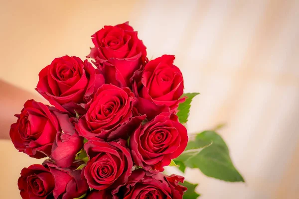 Mulheres mão segurando um buquê de variedade de rosas Hot Spot, tiro estúdio . — Fotografia de Stock