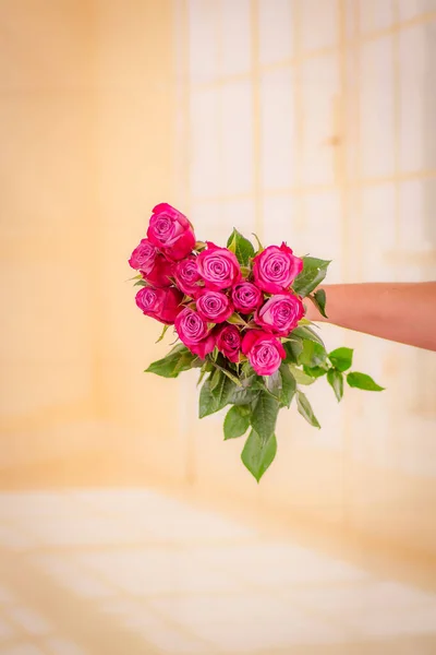 Dámské ruce drží kytice Moody Blues růže odrůdy, studio shot. — Stock fotografie