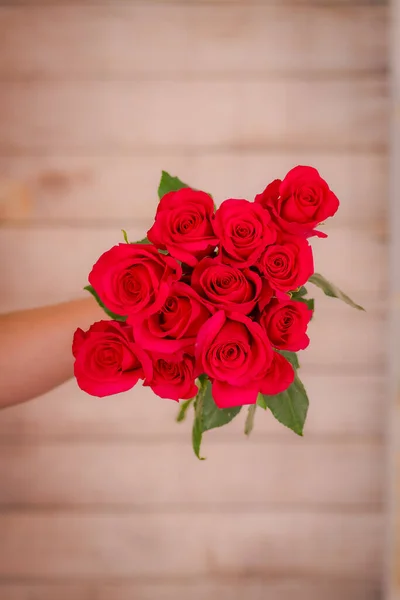 Women hand holding a bouquet of Hot Explorer roses variety, studio shot. — Stock Photo, Image