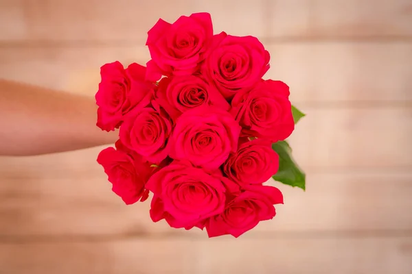 Donne mano in possesso di un mazzo di classico varietà di rose Explorer, girato in studio . — Foto Stock