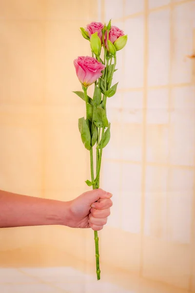 Donne mano tenendo un mazzo di rosa Lisianthus varietà di fiori estivi, studio shot, fiori rosa — Foto Stock