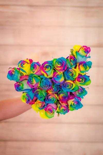 Women hand holding a bouquet of Tinted Rainbow roses variety, studio shot, multicolored flowers — Stock Photo, Image