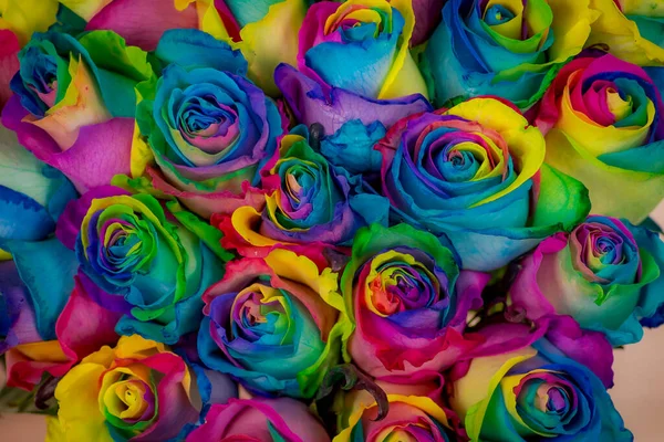 Primo piano di un mazzo di varietà di rose colorate arcobaleno, riprese in studio, fiori multicolori Foto Stock Royalty Free