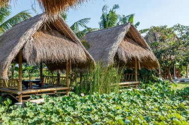 Bali dili restoranında lotus gölet yakınındaki balya. Geleneksel Endonezya yemek. Bali, Endonezya.