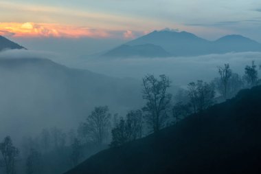 Çevresi Ijen'de yanardağ sabahın erken saatlerinde. Ağaçların arasından sis ve duman kükürt. Banyuwangi Regency Doğu Java, Endonezya.