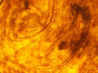 Renkli boyadan soyut arkaplan .