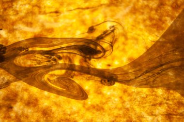 Renkli boyadan soyut arkaplan .