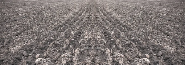 Plowed Field Land Texture — Stock Photo, Image