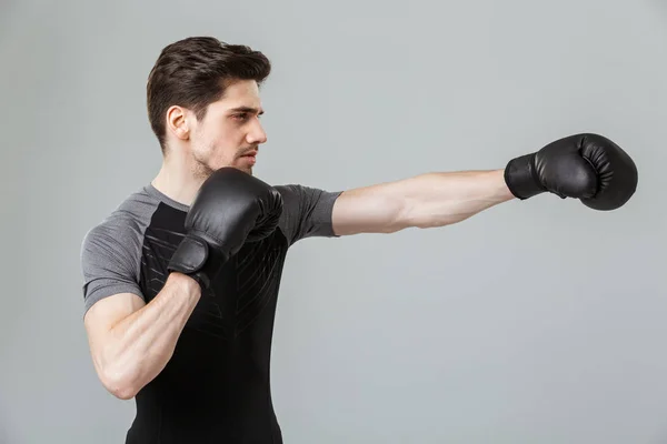 灰色の壁背景に分離立って集中若いスポーツマン ボクサーのイメージを作る手袋のボクシング練習 — ストック写真