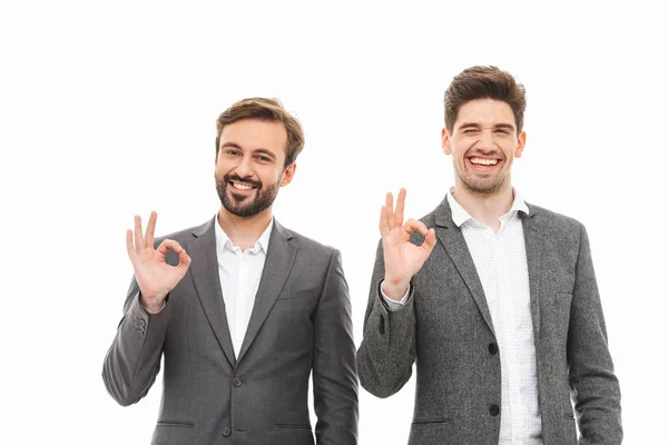 Retrato Dois Homens Negócios Satisfeitos Mostrando Gesto Isolado Sobre Fundo — Fotografia de Stock