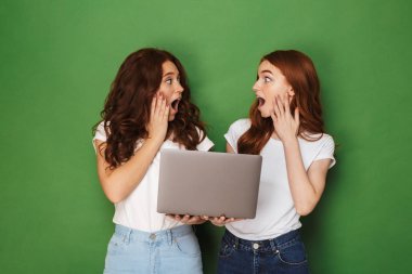 Dizüstü bilgisayar basılı tutup yeşil arka plan üzerinde izole birbirlerine bakarak iki şok genç Kızıl saçlı kız portresi