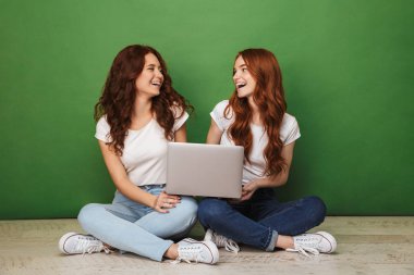 Dizüstü bilgisayar ile bir katta oturan ve üzerinde yeşil arka plan izole birbirlerine bakarak iki mutlu genç Kızıl saçlı kız portresi