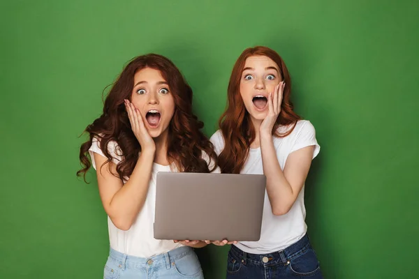 Retrato Dos Jóvenes Pelirrojos Sorprendidos Sosteniendo Ordenador Portátil Celebrando Aislado — Foto de Stock