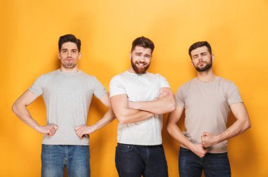 Üç genç kendine güvenen erkekler üzerinde sarı arka plan izole kamera arıyorum