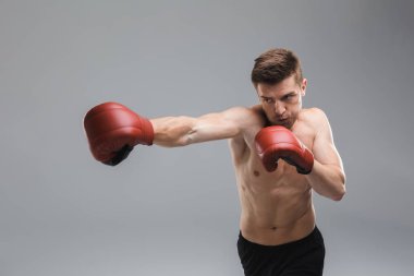 Boks gri arka plan üzerinde izole eldivenler motive gömleksiz sporcu portresi