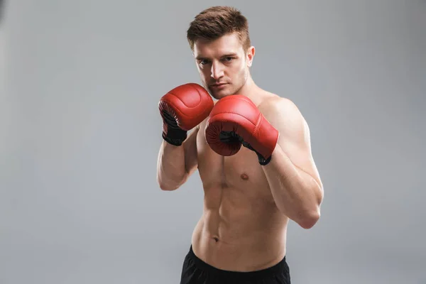 灰色の背景の上分離されたボクシングの手袋を着用して強い上半身裸のスポーツマンの肖像画 — ストック写真