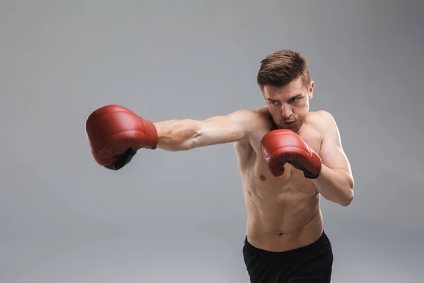 Porträt Eines Motivierten Sportlers Ohne Hemd Mit Boxhandschuhen Vor Grauem — Stockfoto