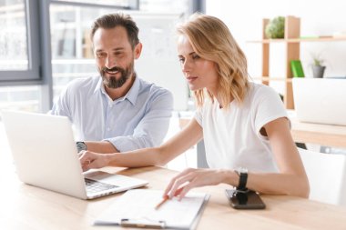 Birlikte laptop ile ofiste otururken bir proje üzerinde çalışıyor meşgul iş arkadaşları birkaç