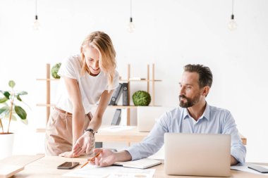 Ofiste oturan ve dizüstü bilgisayarda çalışma sırasında çalışma projesi tartışmaya arkadaşları birkaç