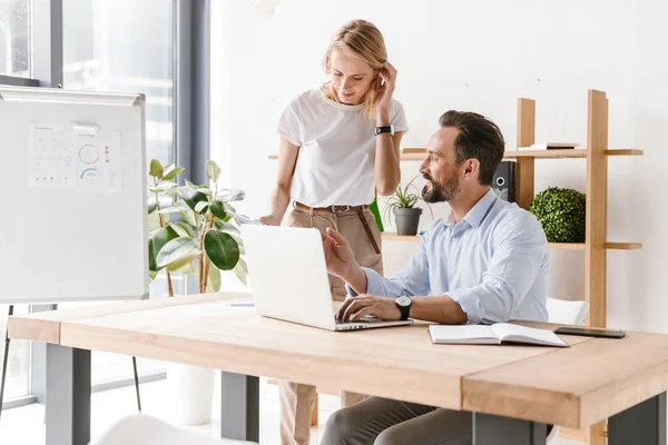 Ofiste oturan ve dizüstü bilgisayarda çalışma sırasında çalışma projesi tartışmaya arkadaşları birkaç