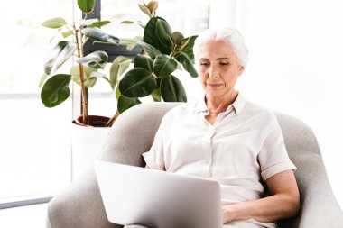 İçeride koltukta otururken dizüstü bilgisayar üzerinde çalışan emin olgun iş kadın