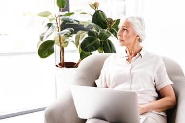 İçeride koltukta otururken dizüstü bilgisayar üzerinde çalışan akıllı olgun iş kadın