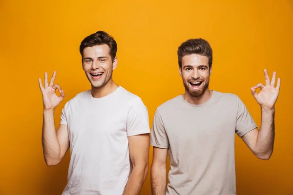 Portrait Two Happy Young Men Best Friends Showing Gesture Isolated — Stock Photo, Image