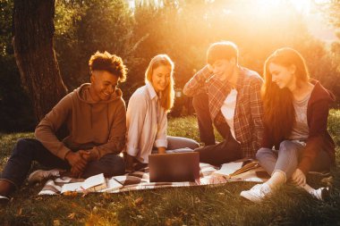 Parkta birlikte ödev multhiethnic öğrenciler dizüstü bilgisayar kullanan gülümseyen bir grup