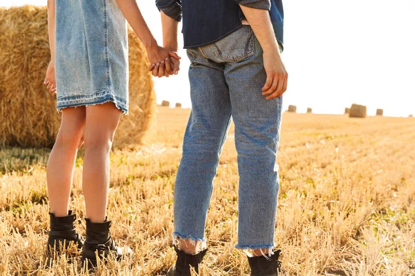 背面図は 麦畑に一緒に立って 手を繋いでいるカップルの画像をトリミング — ストック写真