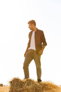 Tam boy fotoğrafı yakışıklı adam altın alanda yürüyüş ve güneşli gün boyunca büyük haystack ayakta 30s