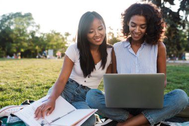Mutlu gülümseyen genç arkadaşlar kız açık havada Park dizüstü kullanarak görüntü.