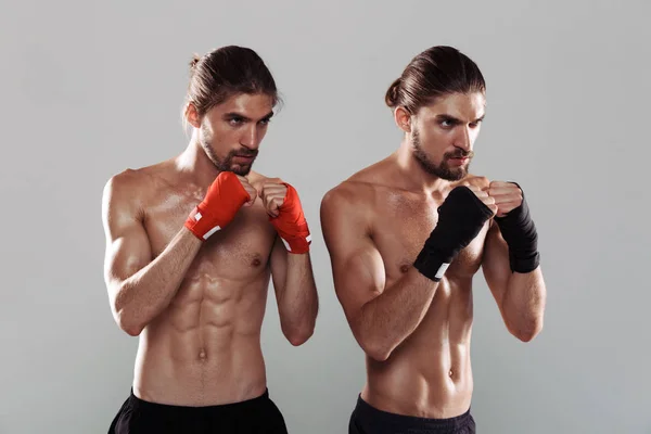 Retrato Dos Hermanos Gemelos Musculosos Confiados Aislados Sobre Fondo Gris — Foto de Stock