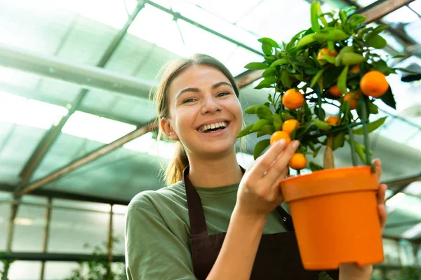 Porträt Der Schönen Floristin Frau 20Er Jahre Mit Schürze Hält — Stockfoto