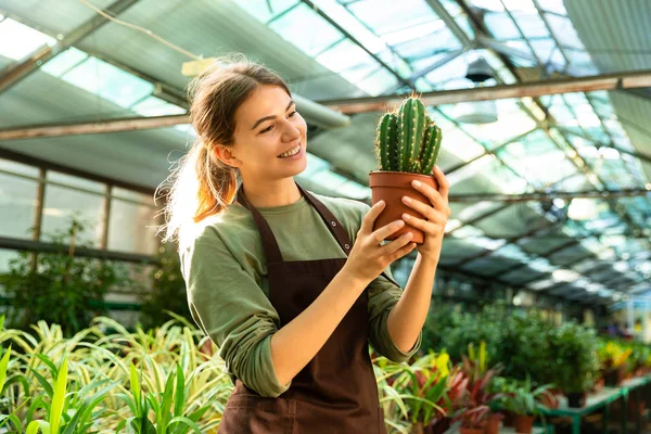 Attractive Cute Woman Gardener Holding Plant Cactus Standing Flowers Greenhouse — Stock Photo, Image