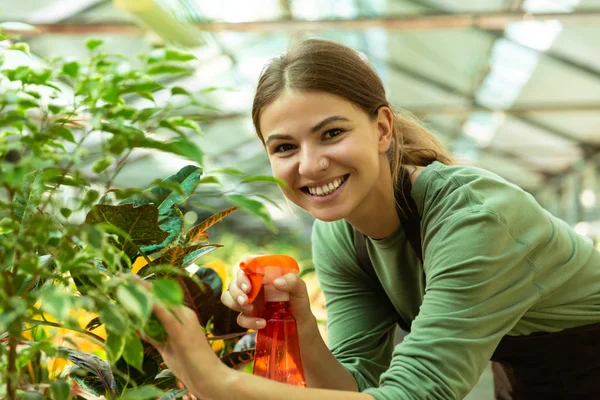 若い女性の花屋の温室の植物の上に立って スプレーで水やりのイメージ — ストック写真