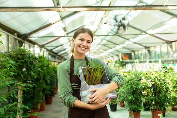 女性庭師 代身に着けているエプロンに立って手で植物温室での作業中の笑顔のイメージ — ストック写真