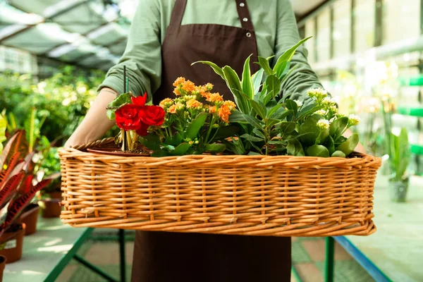 Cropped Photo Florist Woman 20S Wearing Apron Carrying Basket Flowers — Stock Photo, Image