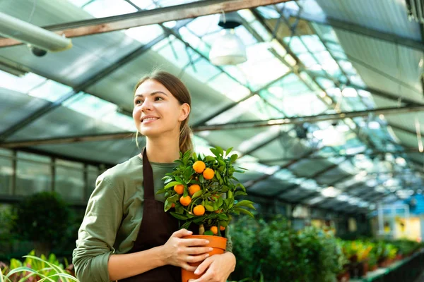 Portrett Ung Blomsterpike Årene Som Holder Appelsintre Mens Hun Arbeider – stockfoto