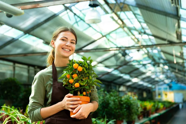 Retrato Mujer Florista Complacida Años Usando Delantal Sosteniendo Naranjo Mientras —  Fotos de Stock