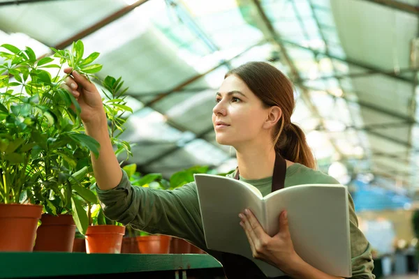 花屋の女の子を勉強したり 手でノートに温室で植物をチェックのイメージ — ストック写真