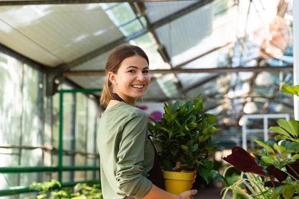 Imagem Mulher Satisfeita Jardineiro 20S Vestindo Avental Com Planta Nas — Fotografia de Stock