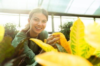 Görüntü memnun kadın bahçıvan ayakta Konservatuarı bitkilerde üzerinde gülümseyen
