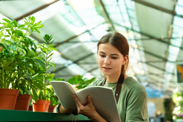 白人の庭師の少女を勉強したり 手でレジスタと温室で植物をチェックのイメージ — ストック写真