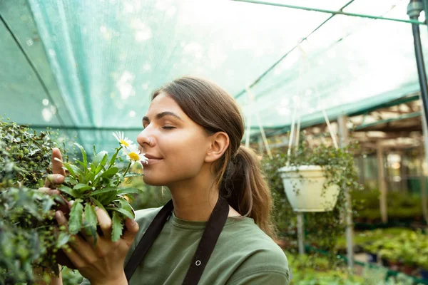 温室内の植物の臭いがする魅力的なかわいい女性庭師の写真 — ストック写真