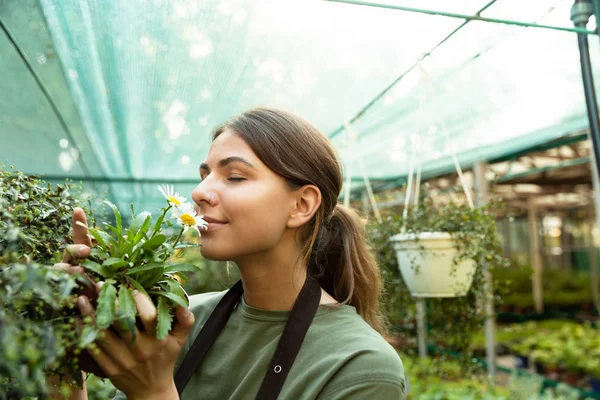 Photo Attractive Cute Woman Gardener Smelling Plant Greenhouse — Stock Photo, Image