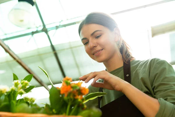 Immagine Bella Donna Giardiniere 20S Indossando Grembiule Toccare Fiori Mentre — Foto Stock