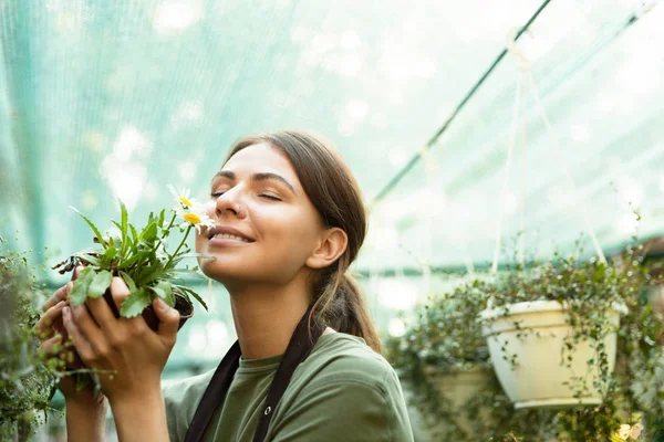 Photo Attractive Cute Woman Gardener Smelling Plant Greenhouse — Stock Photo, Image