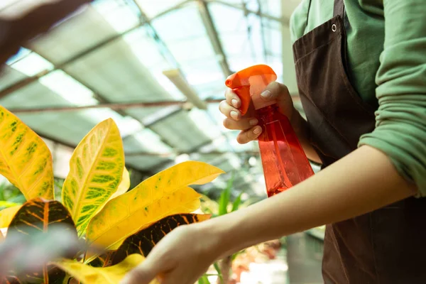 Image Woman Assistant 20S Standing Plants Conservatory Watering Flowers Sprayer — Stock Photo, Image