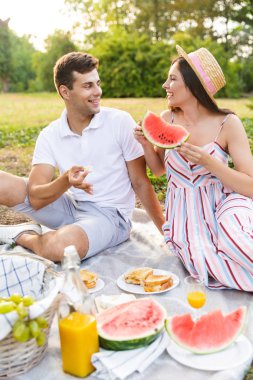 Birlikte iyi vakit, parkta piknik genç çift gülümseyen